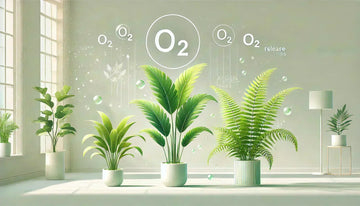 Die 7 besten Pflanzen für mehr Luftqualität – Perfekt für dein Zuhause und deine Haustiere