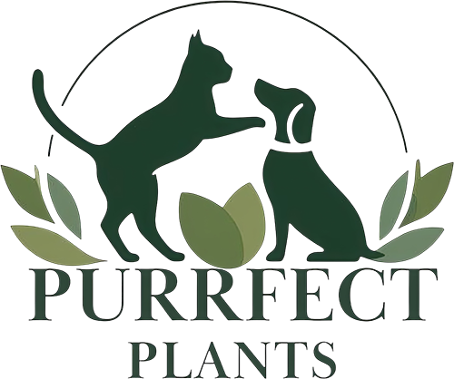Purrfect Plants