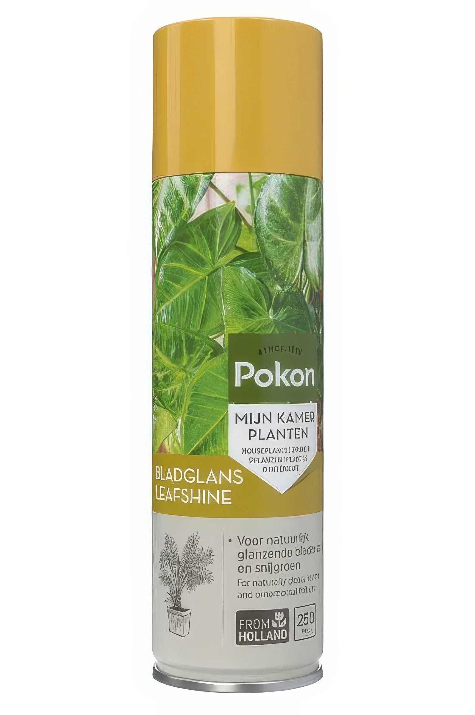 Pokon Blatt Glanz 250ML, sorgt für strahlende Blätter auf haustierfreundlichen Zimmerpflanzen, schützend für Katzen und Hunde