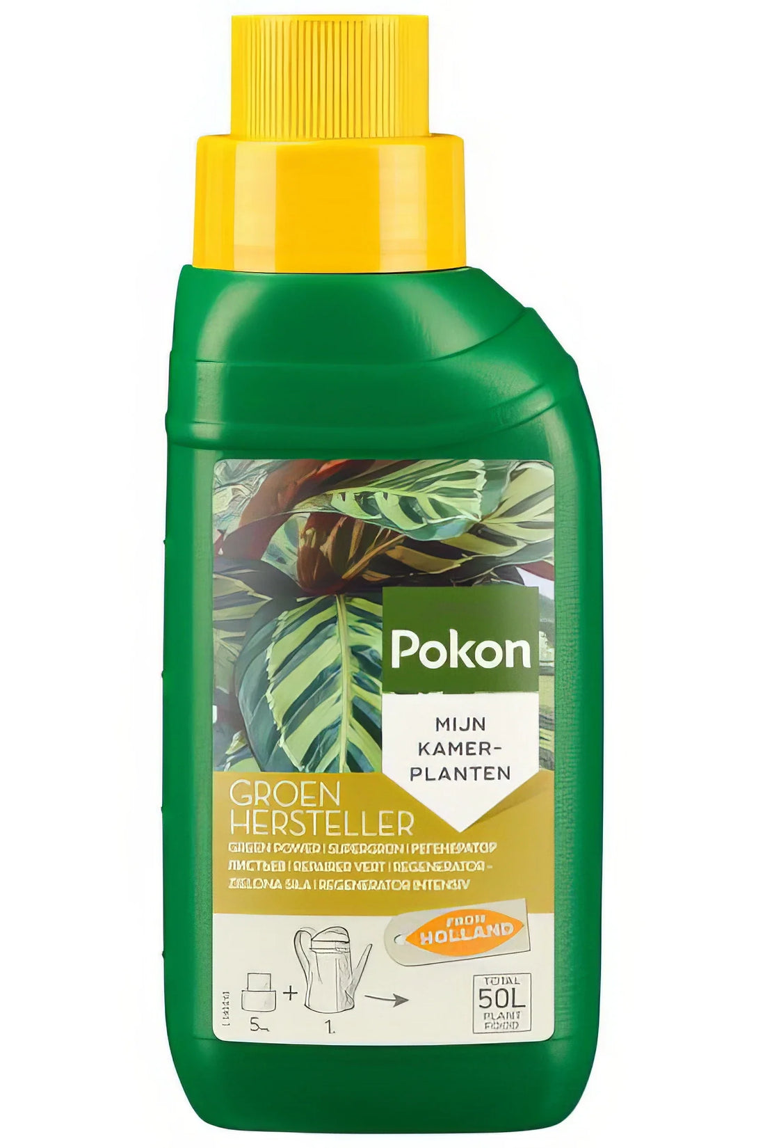 Pokon Grüne Pflanzennahrung Regenertor – 250 ml, ideal für gesunde, haustierfreundliche Pflanzenpflege, sicher für Katzen und