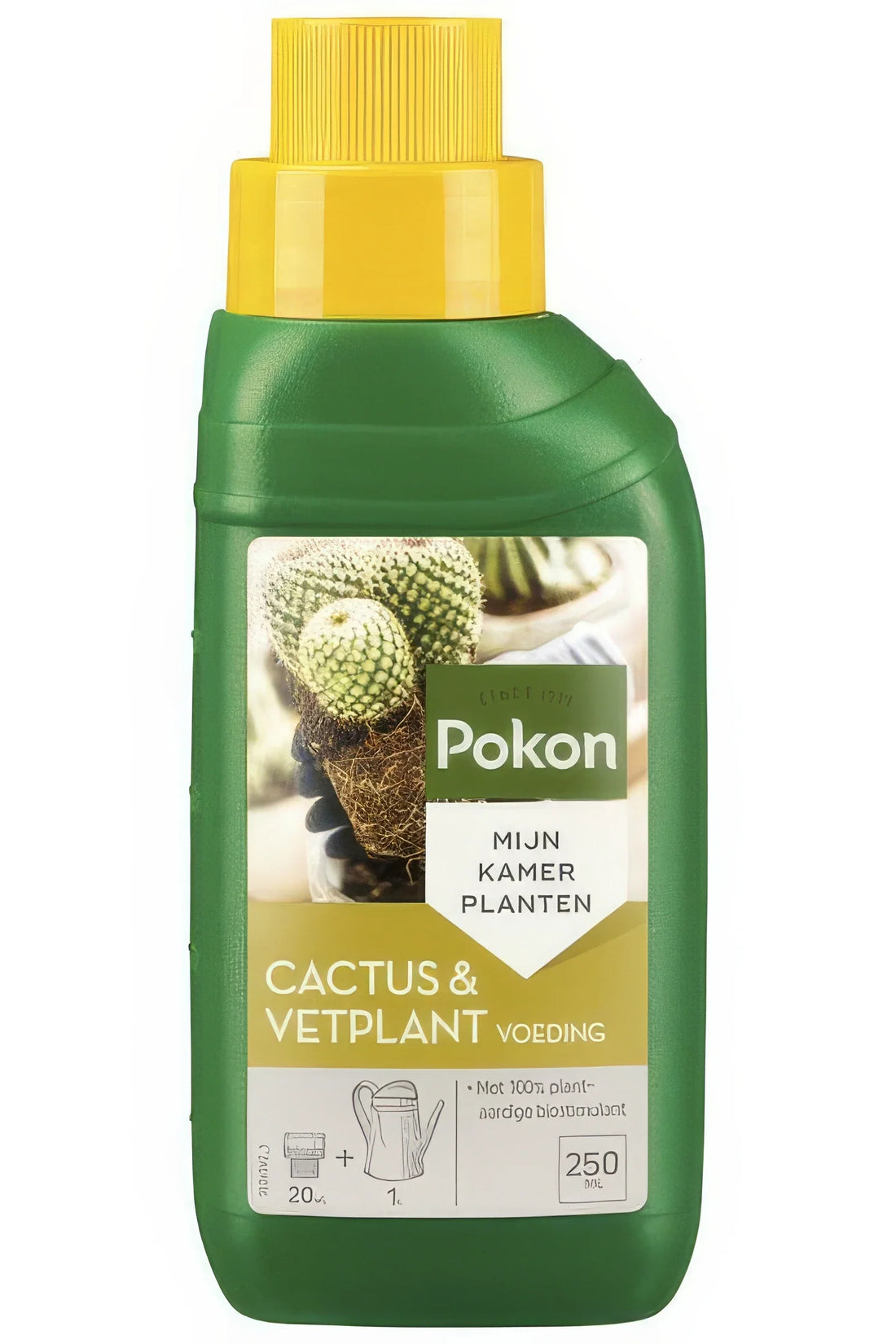 Pokon Kaktus- und Sukkulenten-Dünger, 250 ml, in stilvollem Topf, ideal für haustierfreundliche, ungiftige Pflanzenpflege.