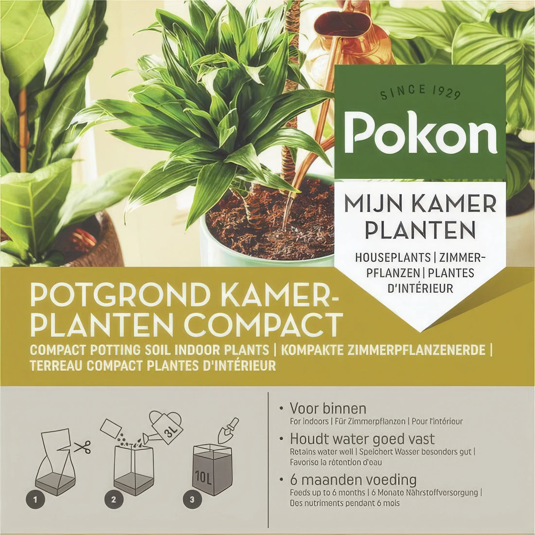 Pokon Kompakte Terrassen- und Balkonpflanzen Kokos-Pflanzgerde, haustierfreundlich, im natürlichen Topf neben Balkongeländer.