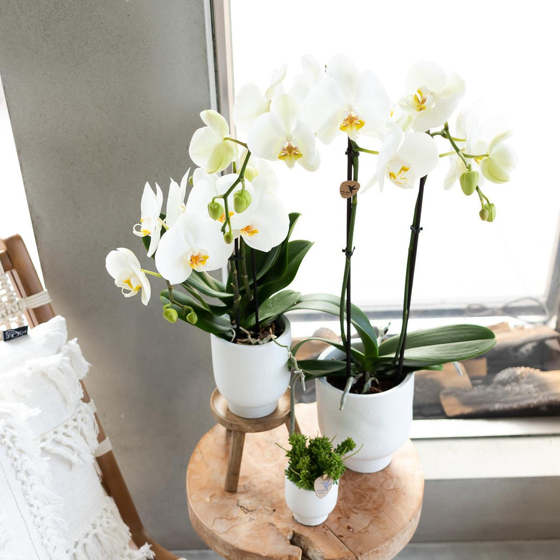 kleiner-holztisch-dreibeinig-fuer-wohnzimmer-deko-d30cm-h20cm
