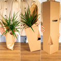 Step-by-step image showing a plant being unboxed from eco-friendly packaging.